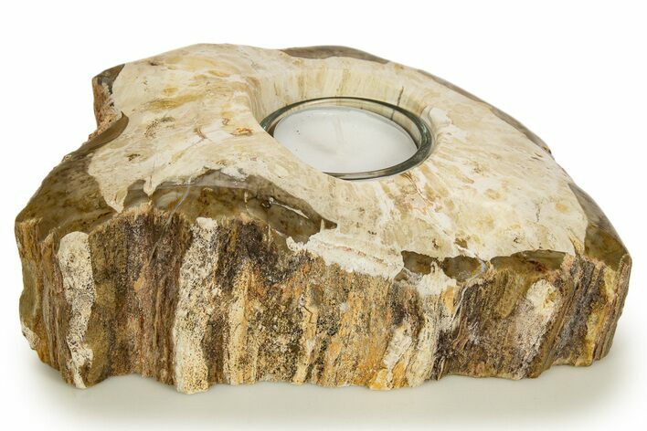 Polished Petrified Wood Candle Holder - Madagascar #337930
